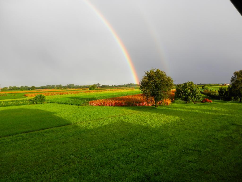 Agriturismo Cjargnei Povoletto Bagian luar foto